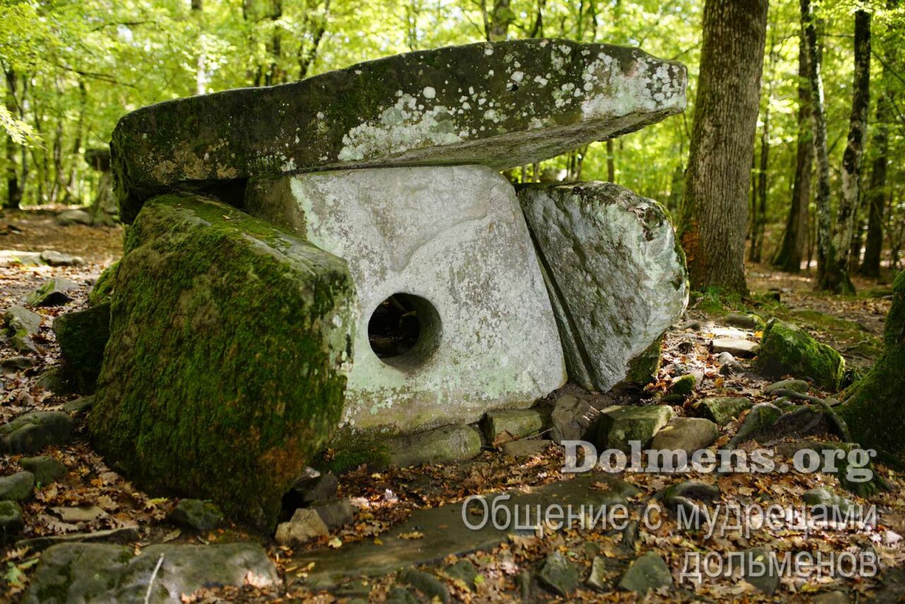 «…ПРОСНУТЬСЯ И УВИДЕТЬ ВЕСЬ МИР ВОКРУГ СЕБЯ ТАКИМ, КАКОЙ ОН ЕСТЬ…»